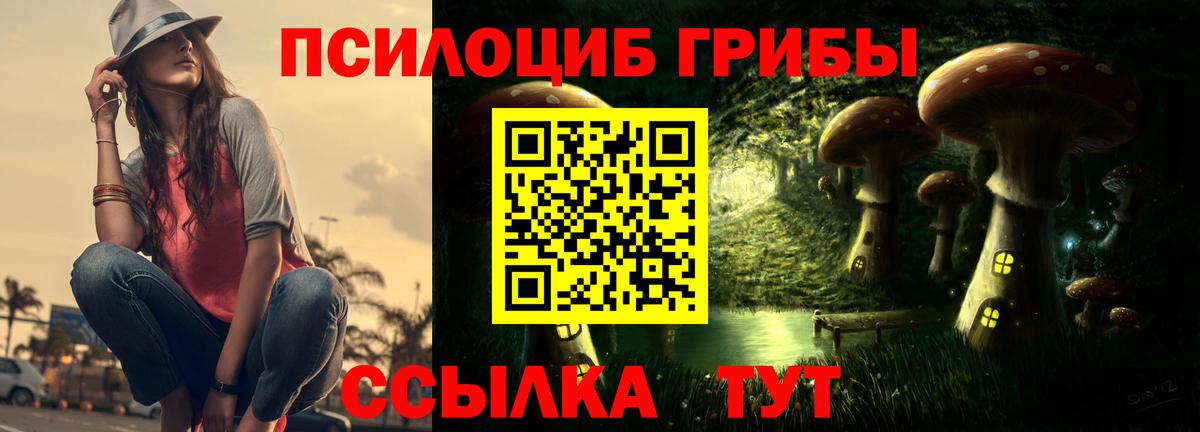 Гудермес  Галлюциногенные грибы Psilocybe  Вход с VPN 