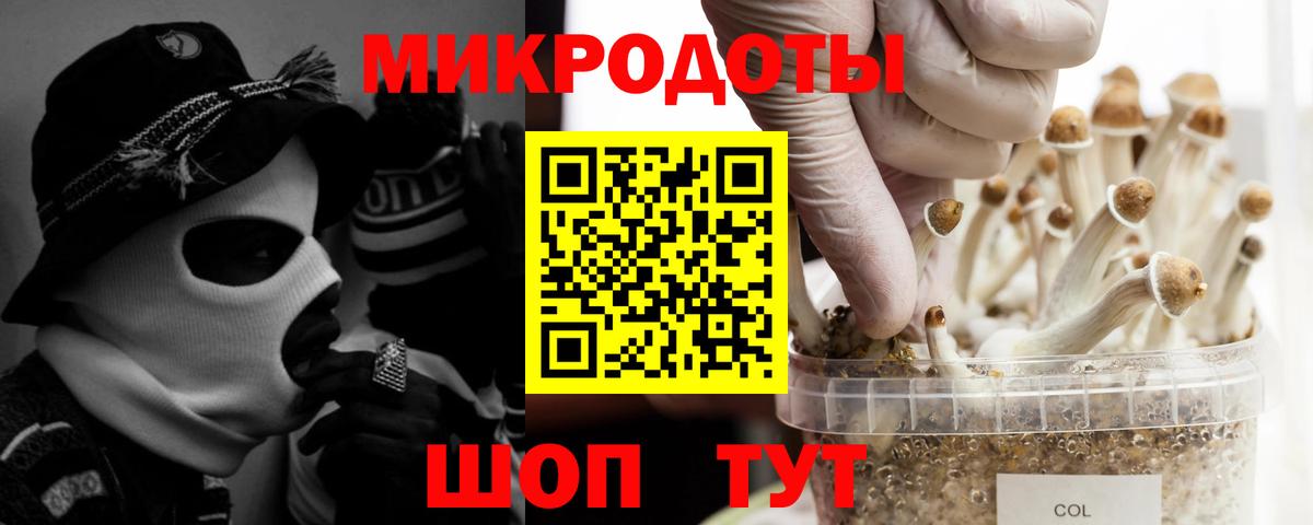 Галлюциногенные грибы MAGIC MUSHROOMS Гудермес